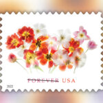 2022 Tulips Forever First Class Postage Stamps