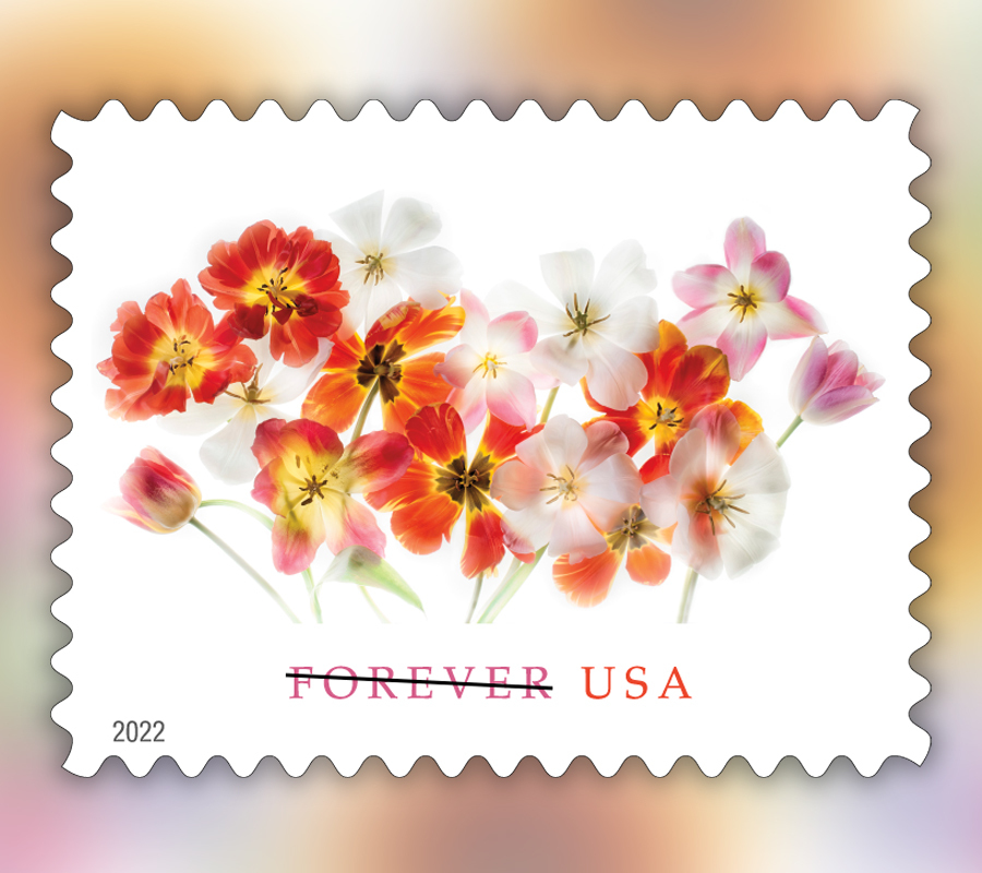 2022 Tulips Forever First Class Postage Stamps
