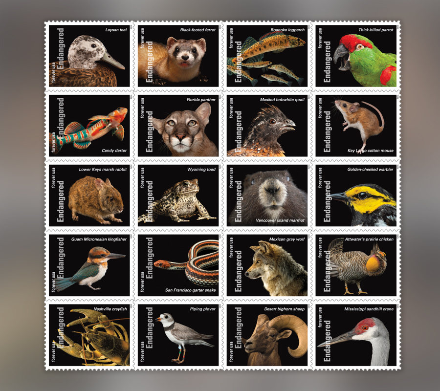 2023 Endangered Species Forever First Class Postage Stamps