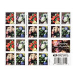 2017 Flowers from The Garden Forever First Class Postage Stamps