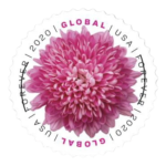 2020 Chrysanthemum Forever First Class Postage Stamps