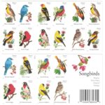 2014 Songbirds Forever First Class Postage Stamps