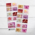 2025 Dahlias Forever First Class Postage Stamps