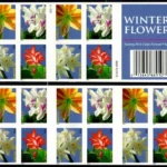 2014 Winter Flowers Forever First Class Postage Stamps