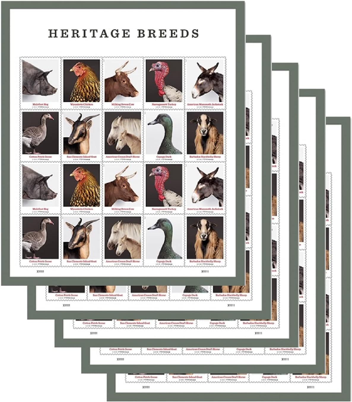 ade825c8d41fd52ea5ed460f332fdca4322514fe 2021 Heritage Breeds Forever First Class Postage Stamps - Image 1