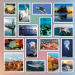 2022 Marine Sanctuaries Forever First Class Postage Stamps