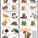 2016 Pets Forever First Class Postage Stamps