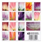 2023 Tulip Blossoms Forever First Class Postage Stamps