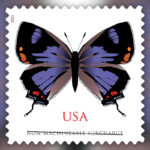 2021 Colorado Hairstreak Forever First Class Postage Stamps