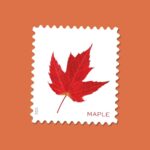 2025 Vibrant Leaves Rolls Forever First Class Postage Stamps