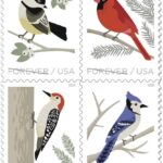 2018 Birds in Winter Forever First Class Postage Stamps